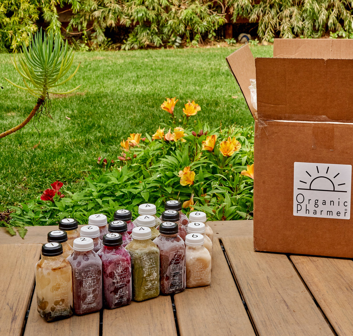 Three DAYS - Detox Functional Cleanse From Organic Pharmer