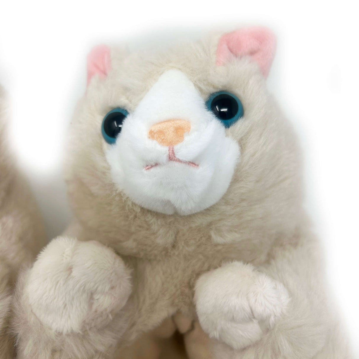 Molly the Kitty Kid's Slippers from Oooh Yeah! Socks