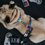 Frenchie Strap Harness - Gamer from Frenchie Bulldog