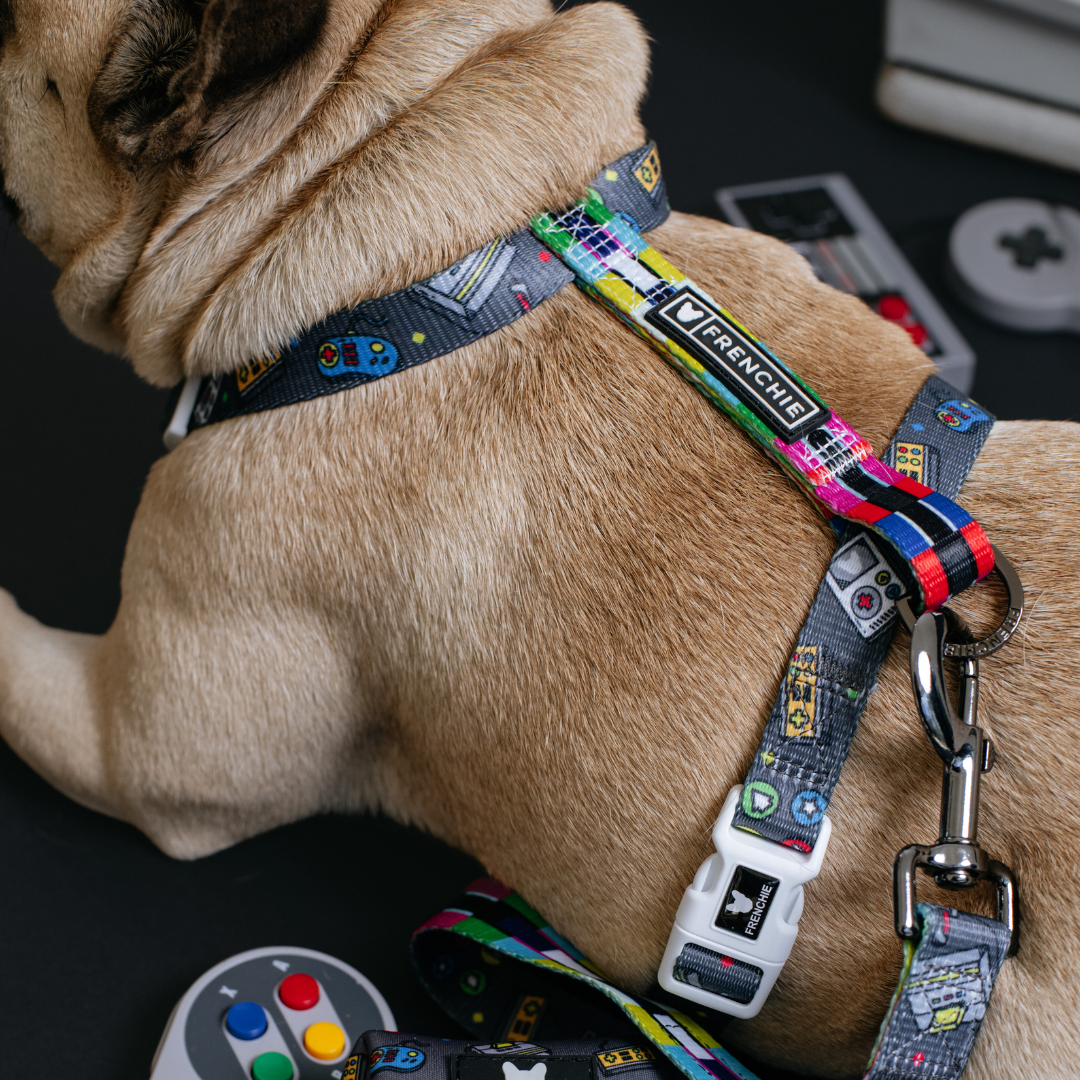Frenchie Strap Harness - Gamer from Frenchie Bulldog