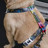 Frenchie Strap Harness - Gamer from Frenchie Bulldog