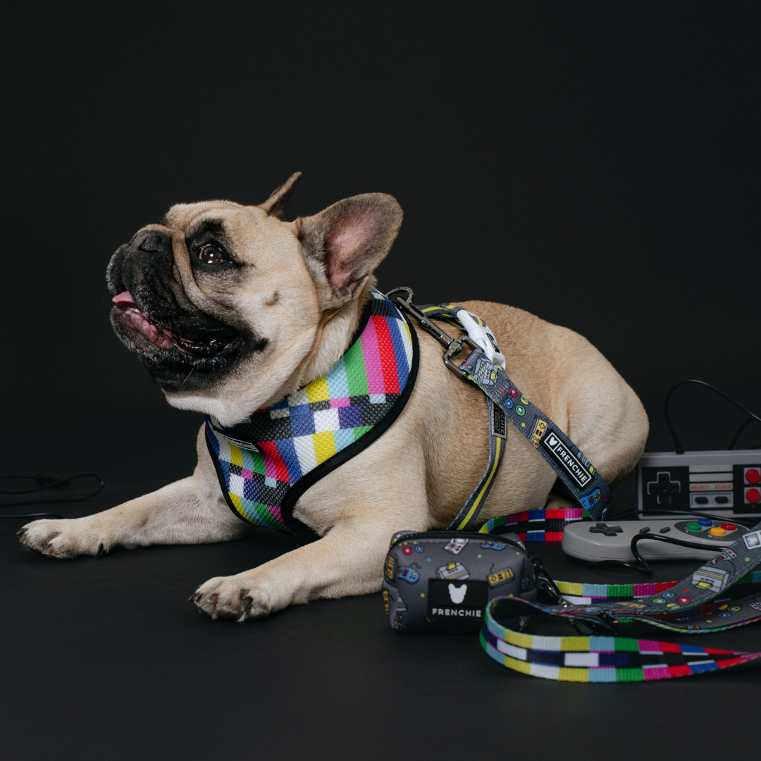 Frenchie Duo Reversible Harness - Gamer from Frenchie Bulldog