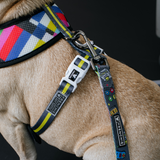 Frenchie Duo Reversible Harness - Gamer from Frenchie Bulldog
