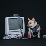 Frenchie Duo Reversible Harness - Gamer from Frenchie Bulldog