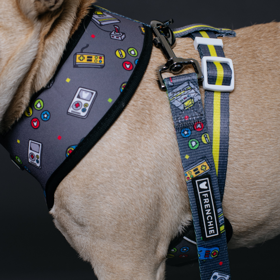 Frenchie Comfort Leash - Gamer from Frenchie Bulldog
