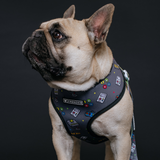 Frenchie Duo Reversible Harness - Gamer from Frenchie Bulldog