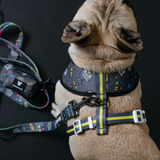 Frenchie Duo Reversible Harness - Gamer from Frenchie Bulldog