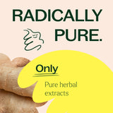 Ginger Root Herbal Supplement - 120 Capsules from Plant Therapy