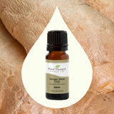 Ginger Root CO2 Extract from Plant Therapy