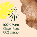 Ginger Root CO2 Extract from Plant Therapy