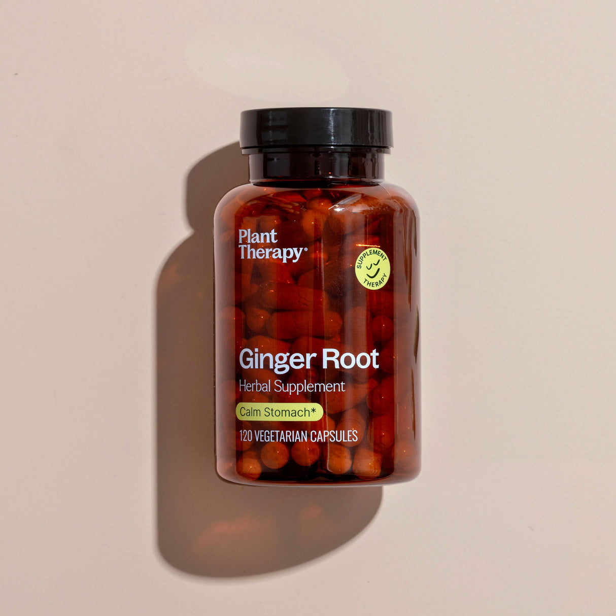 Ginger Root Herbal Supplement - 120 Capsules from Plant Therapy