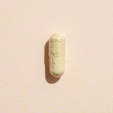 Ginger Root Herbal Supplement - 120 Capsules from Plant Therapy