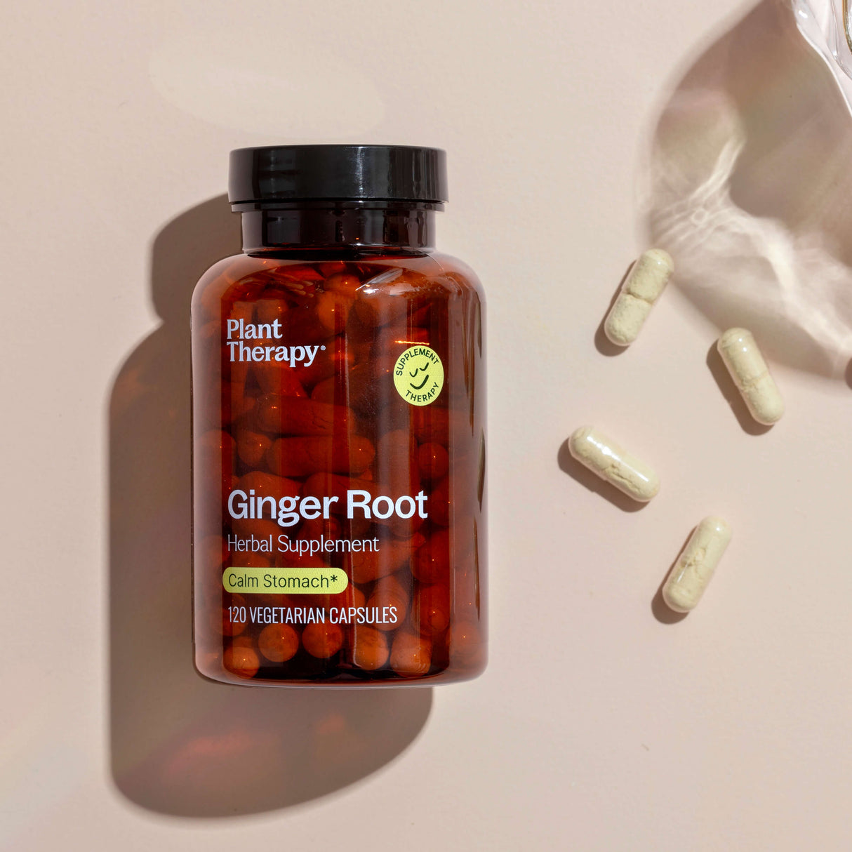 Ginger Root Herbal Supplement - 120 Capsules from Plant Therapy