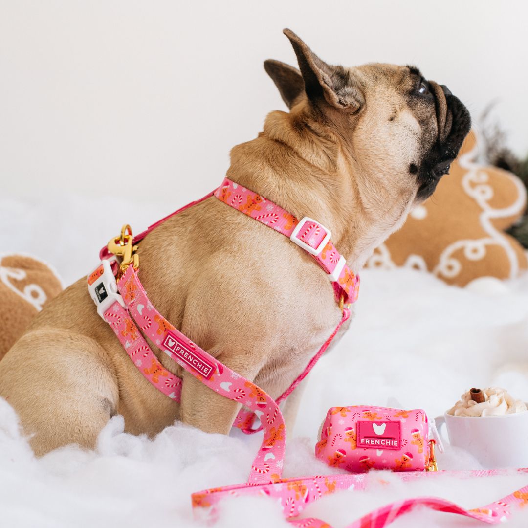Frenchie Poo Bag Holder - Gingerbread- Pink from Frenchie Bulldog