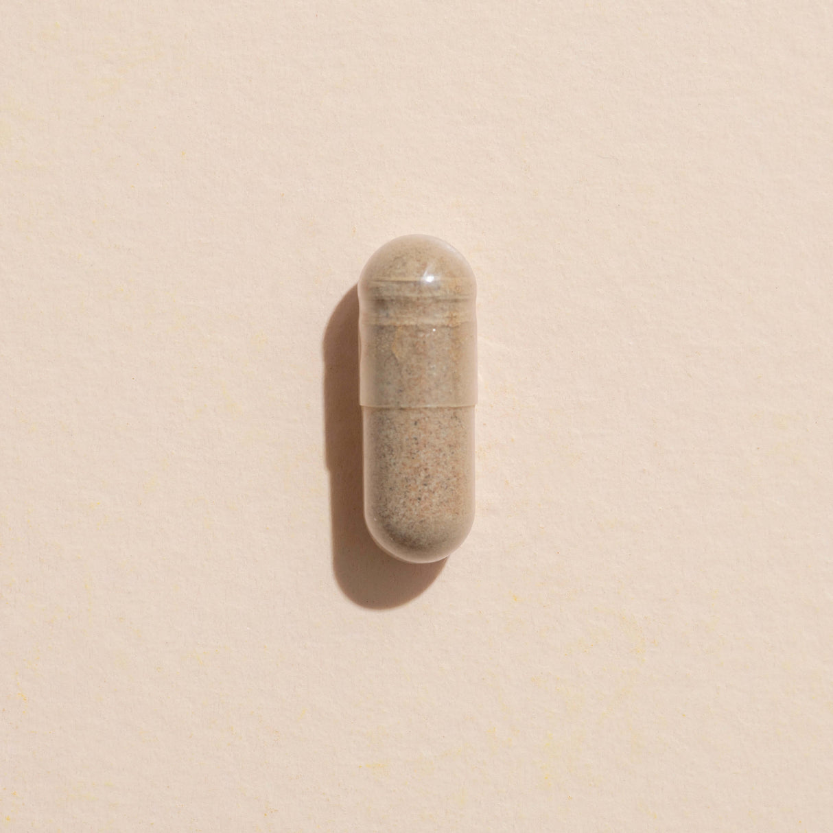 Ginkgo Biloba Herbal Supplement - 120 Capsules from Plant Therapy