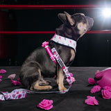 Frenchie Duo Reversible Harness - Girl Power from Frenchie Bulldog