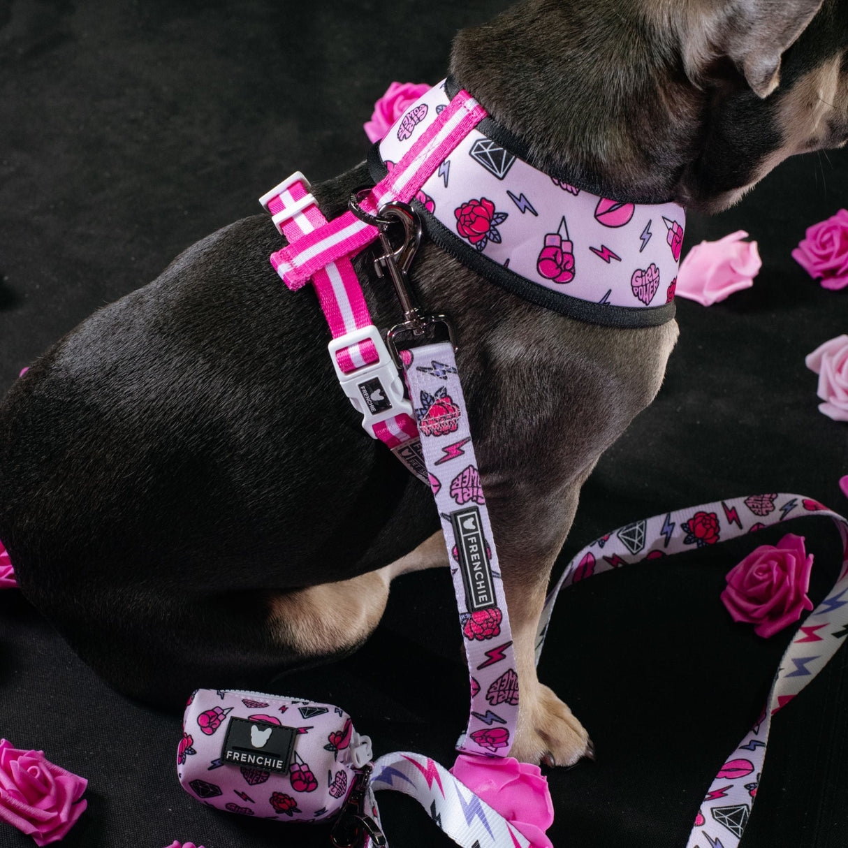 Frenchie Duo Reversible Harness - Girl Power from Frenchie Bulldog