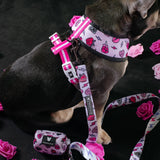 Frenchie Duo Reversible Harness - Girl Power from Frenchie Bulldog