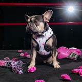 Frenchie Duo Reversible Harness - Girl Power from Frenchie Bulldog
