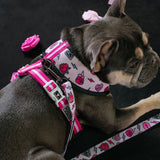 Frenchie Duo Reversible Harness - Girl Power from Frenchie Bulldog