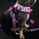 Frenchie Duo Reversible Harness - Girl Power from Frenchie Bulldog