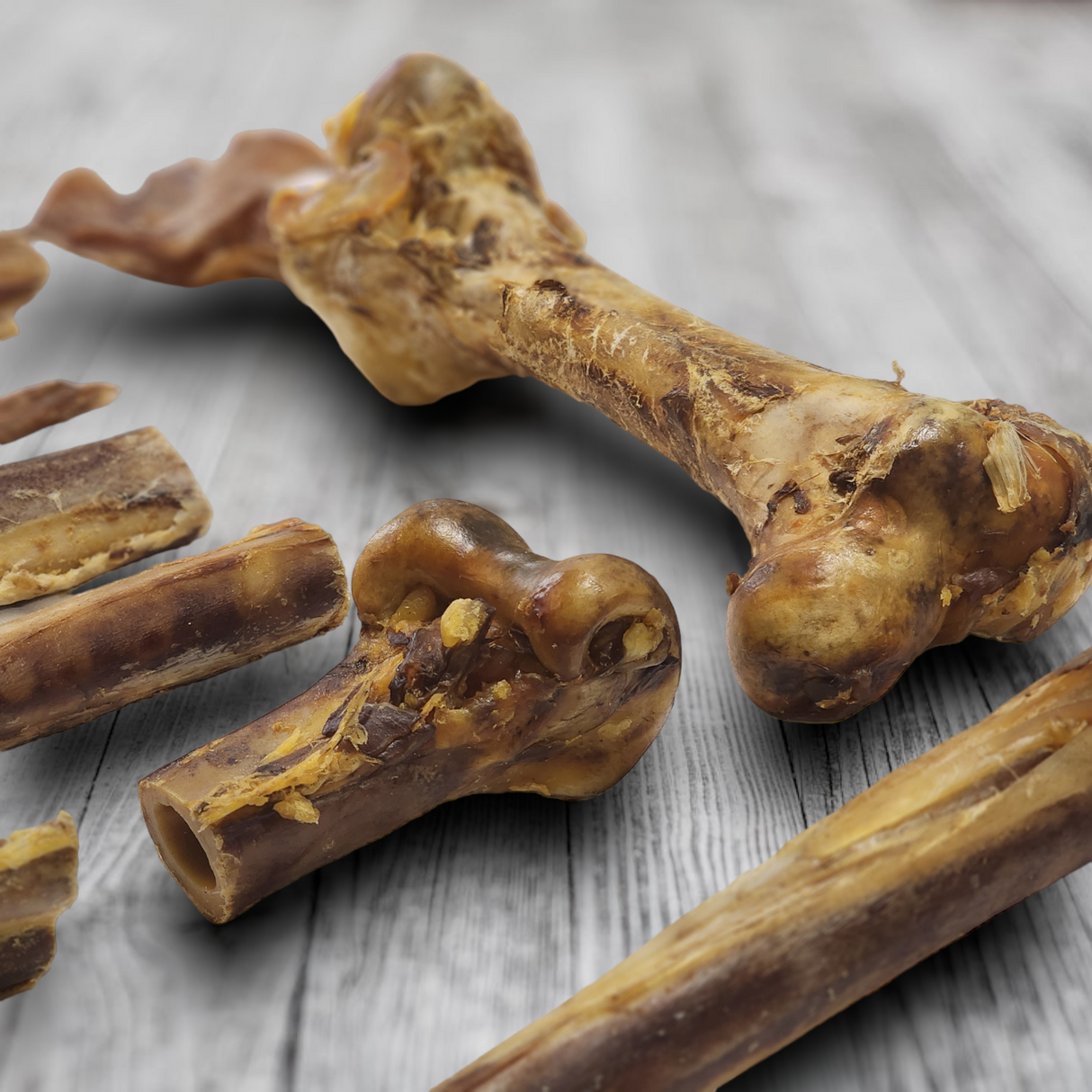 Ostrich Hip Bone (12" x 5"x 3”): The Durable, Flavor-Packed Chew for Medium & Large Dogs from Savannah Pet Food