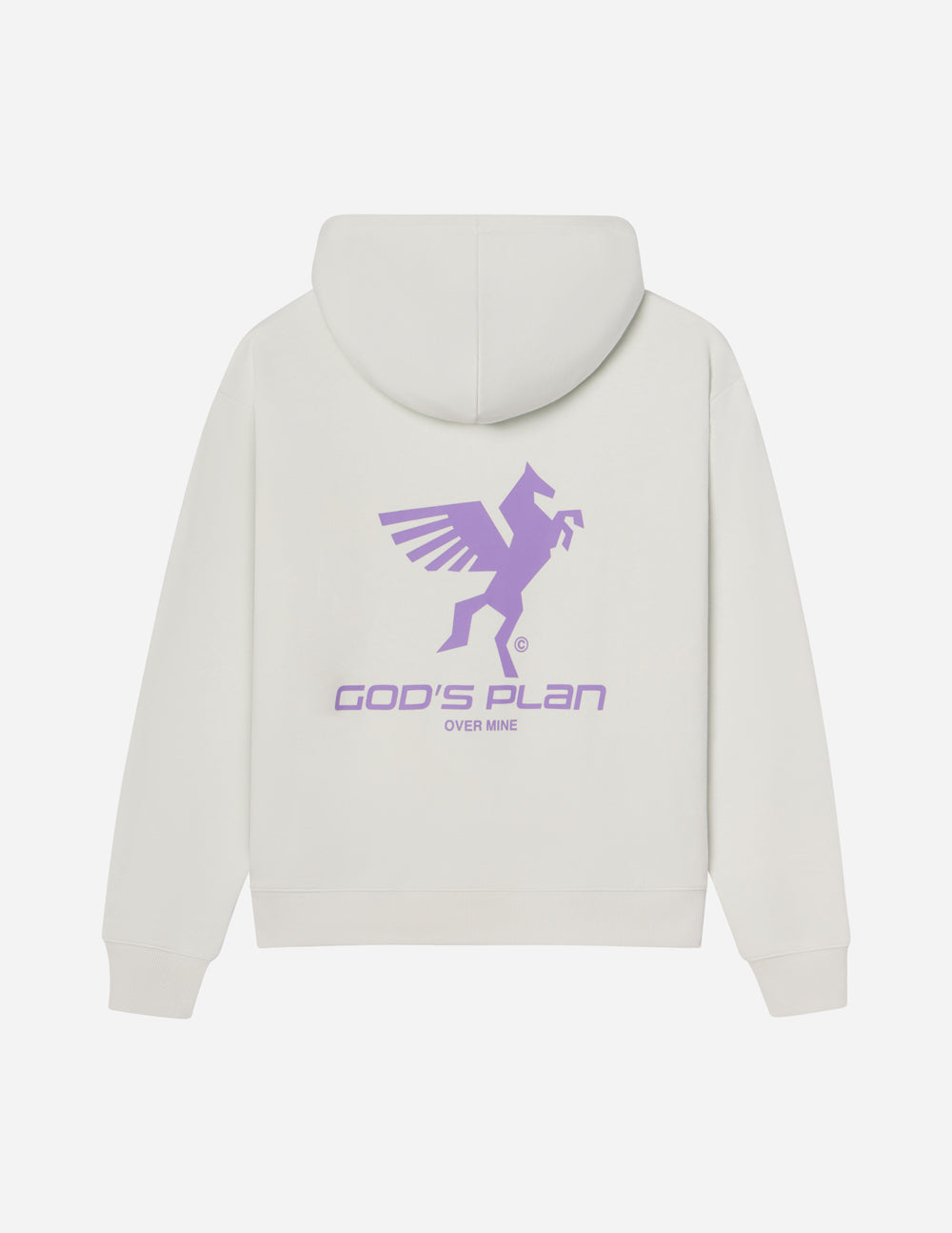 God's Plan Racing Unisex Hoodie from Elevated Faith