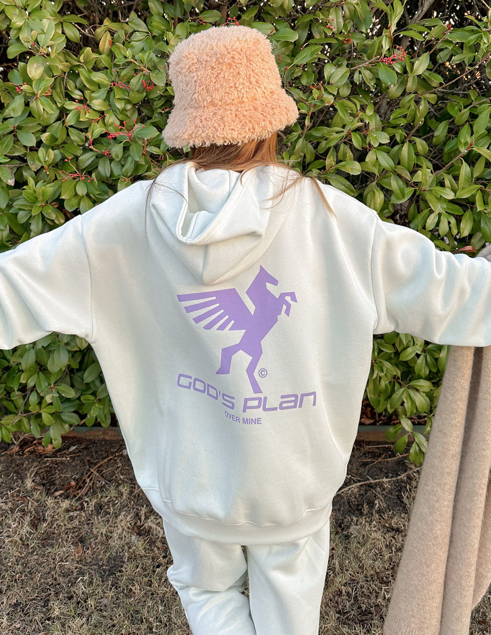 God's Plan Racing Unisex Hoodie from Elevated Faith
