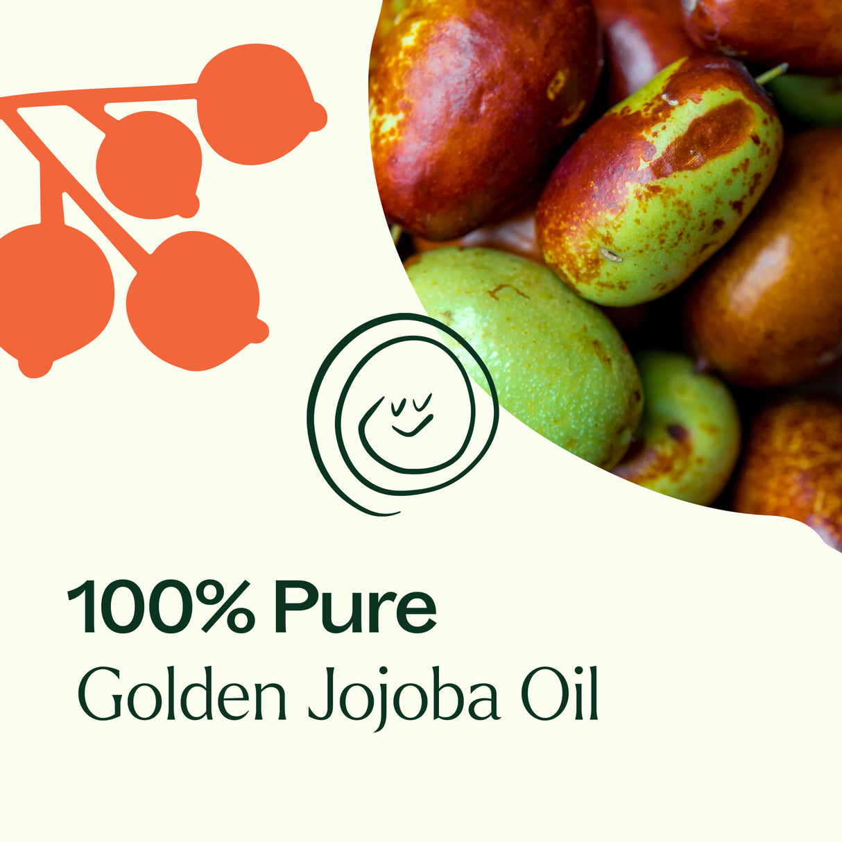 Golden Jojoba Carrier Oil from Plant Therapy