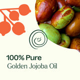 Golden Jojoba Carrier Oil from Plant Therapy
