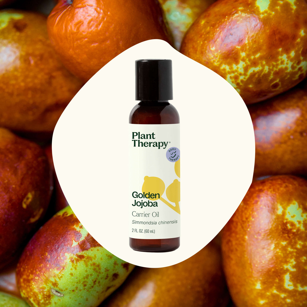 Golden Jojoba Carrier Oil from Plant Therapy