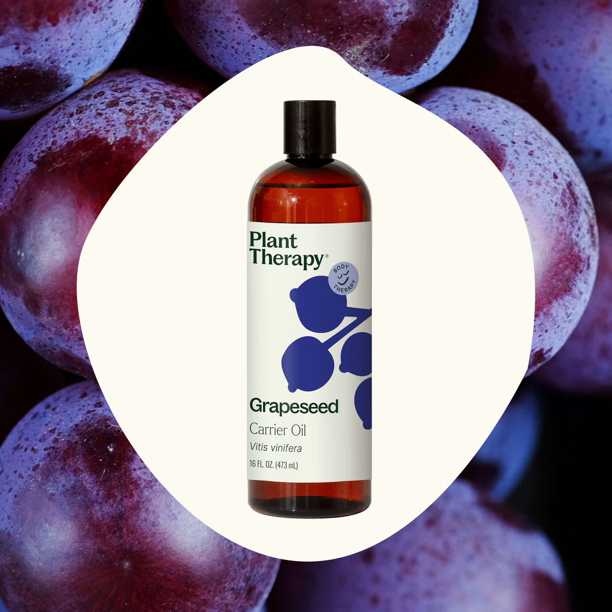 Grapeseed Carrier Oil from Plant Therapy