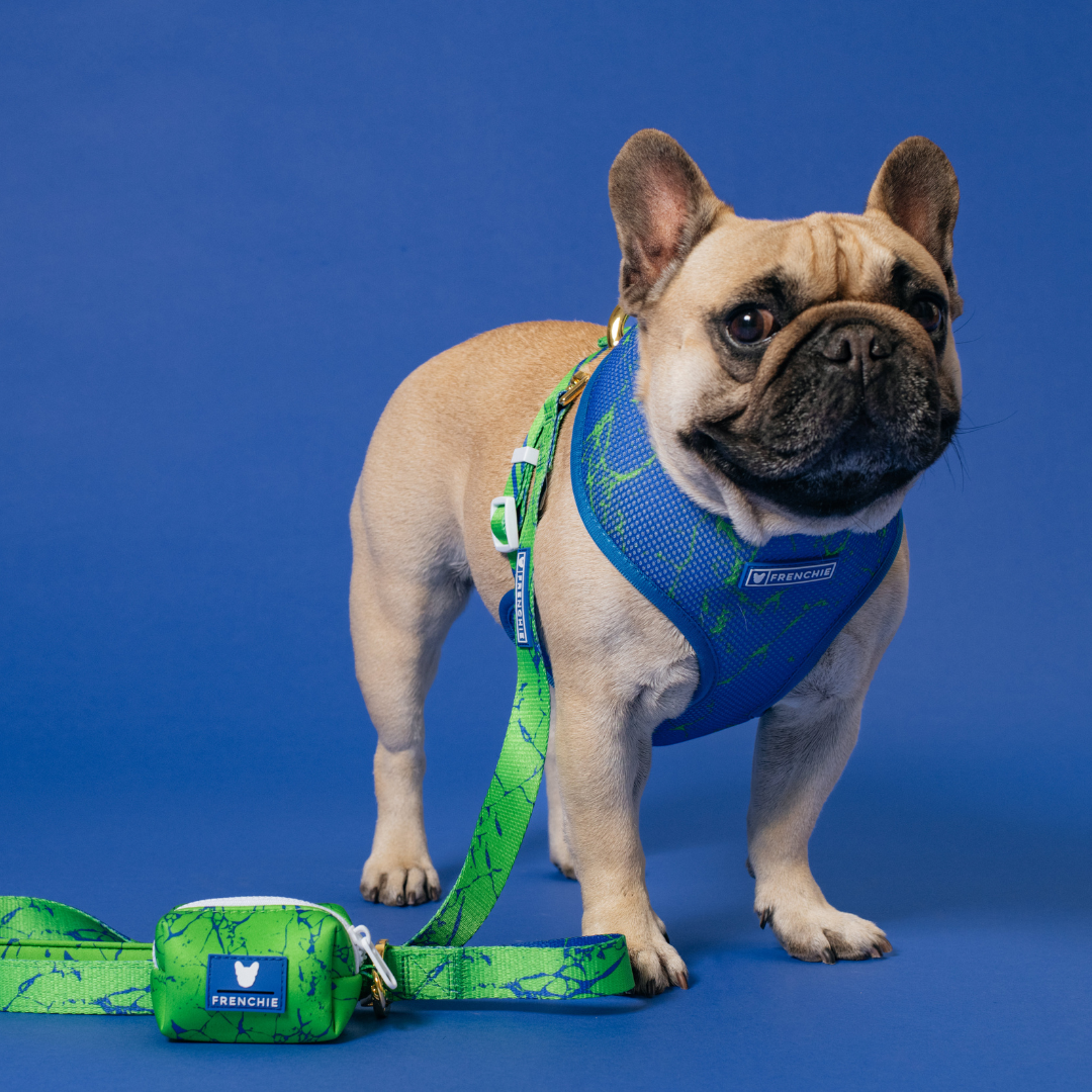 Frenchie Duo Reversible Harness - Green Marble from Frenchie Bulldog