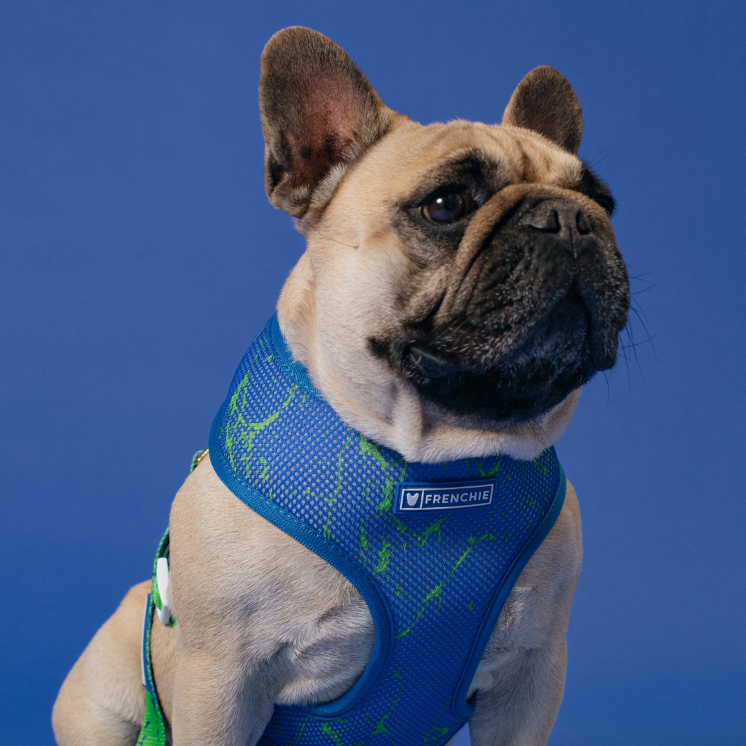Frenchie Duo Reversible Harness - Green Marble from Frenchie Bulldog