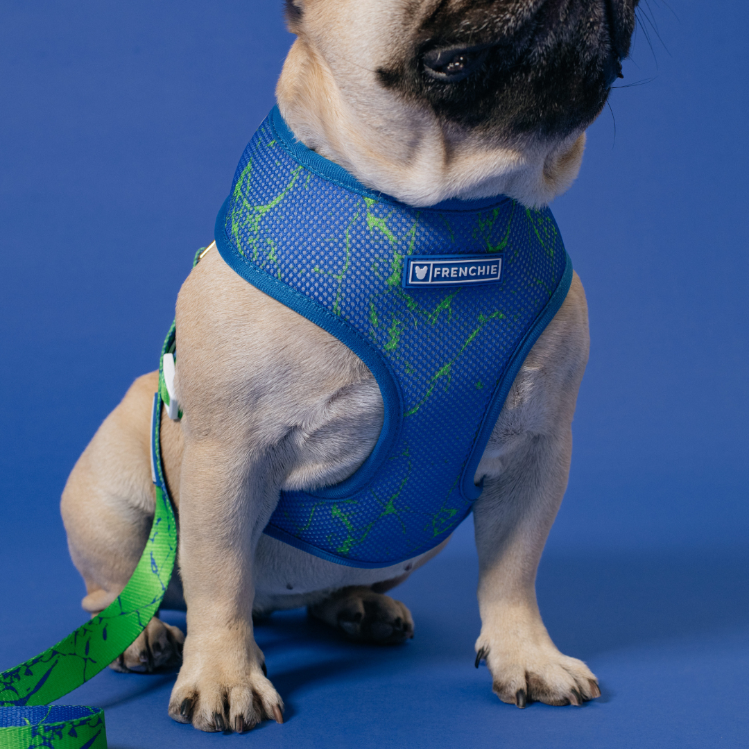 Frenchie Duo Reversible Harness - Green Marble from Frenchie Bulldog