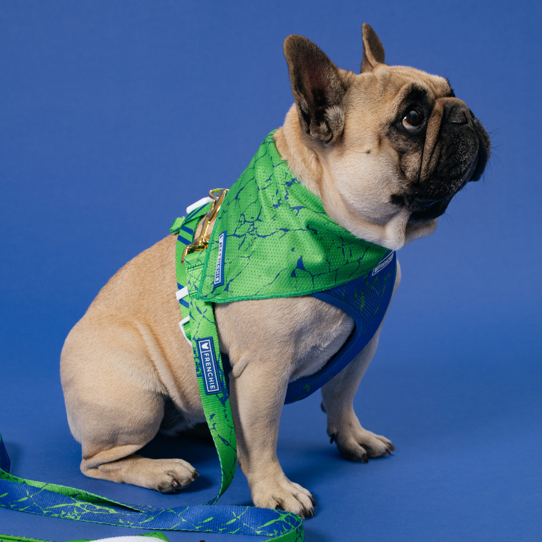 Frenchie Cooling Bandana - Green Marble from Frenchie Bulldog