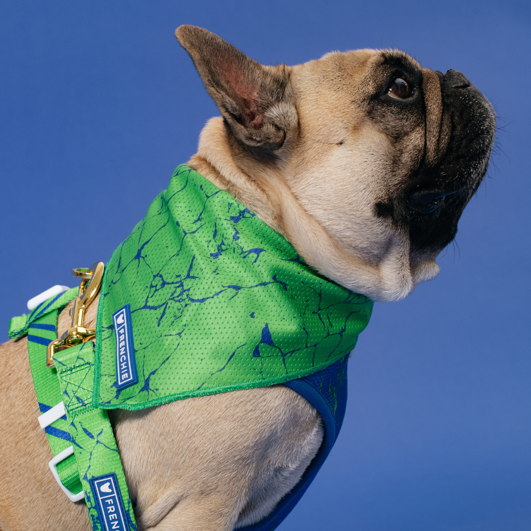Frenchie Cooling Bandana - Green Marble from Frenchie Bulldog