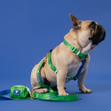 Frenchie Strap Harness - Green Marble from Frenchie Bulldog