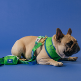 Frenchie Duo Reversible Harness - Green Marble from Frenchie Bulldog