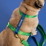 Frenchie Strap Harness - Green Marble from Frenchie Bulldog