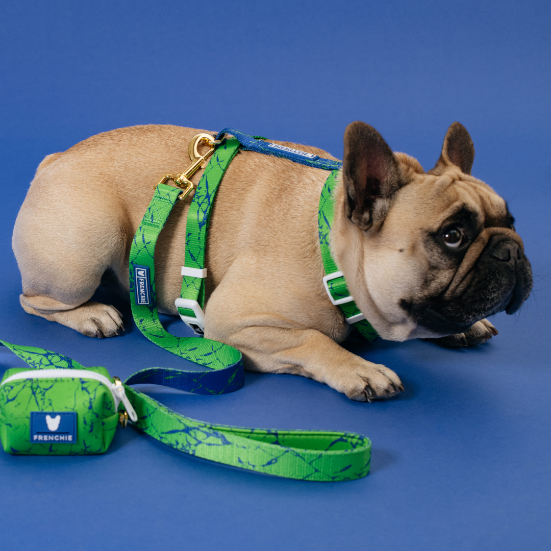 Frenchie Strap Harness - Green Marble from Frenchie Bulldog