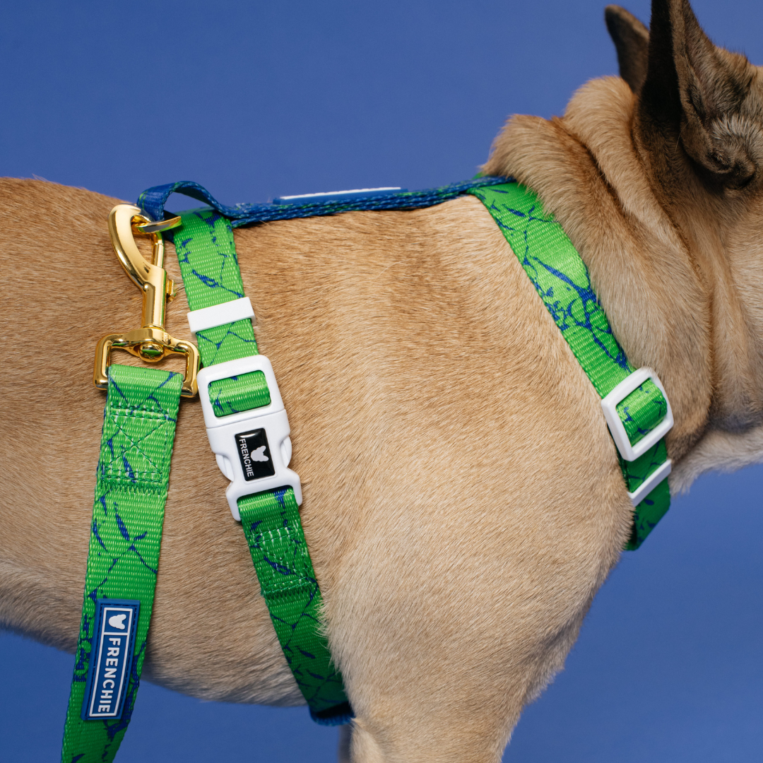 Frenchie Strap Harness - Green Marble from Frenchie Bulldog