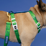 Frenchie Strap Harness - Green Marble from Frenchie Bulldog