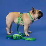 Frenchie Strap Harness - Green Marble from Frenchie Bulldog