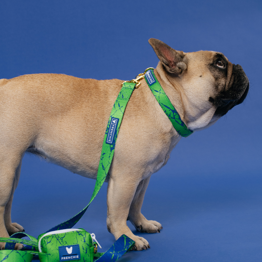 Frenchie Comfort Collar - Green Marble from Frenchie Bulldog