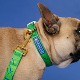 Frenchie Comfort Collar - Green Marble from Frenchie Bulldog