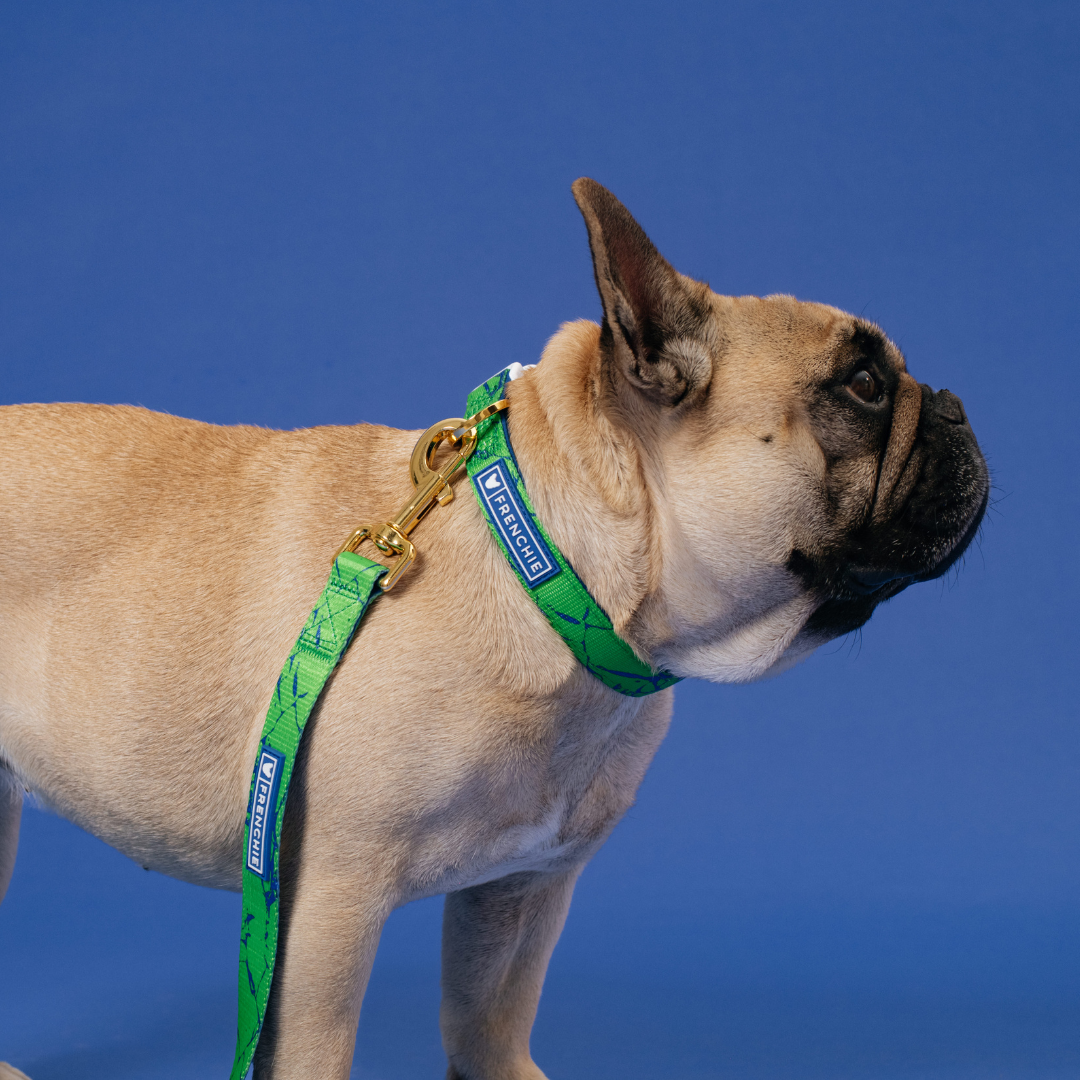 Frenchie Comfort Collar - Green Marble from Frenchie Bulldog