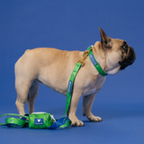 Frenchie Comfort Collar - Green Marble from Frenchie Bulldog