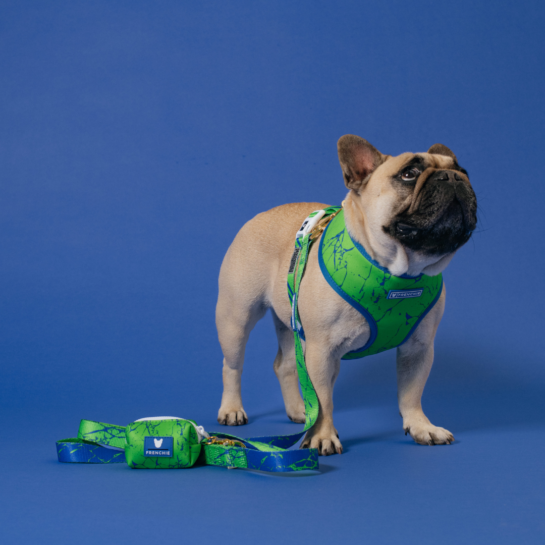 Frenchie Duo Reversible Harness - Green Marble from Frenchie Bulldog