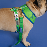 Frenchie Duo Reversible Harness - Green Marble from Frenchie Bulldog